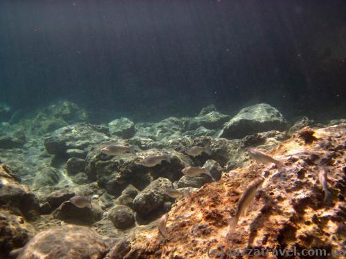Underwater world of Plavi Horizonti