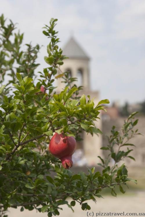 Pomegranates near the Svetitshoveli Temple