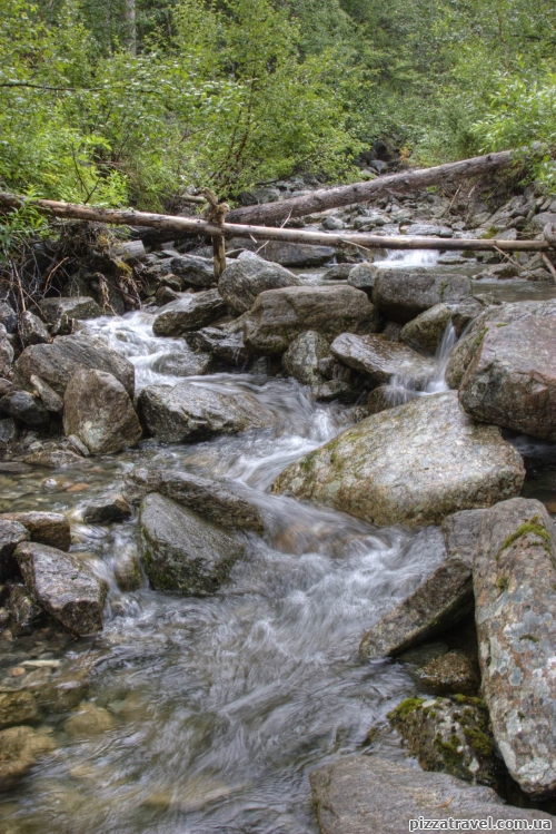 Небольшой водный поток в лесу