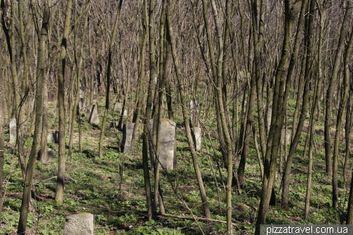 Старовинне козацьке кладовище