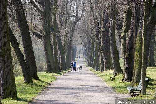 Landscaped park near the Belvedere palace in Weimar