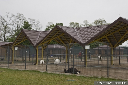 Zoo in Mezhyhiria