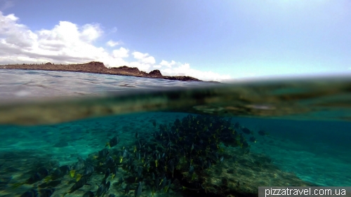 Snorkeling around the Chinese Hat island