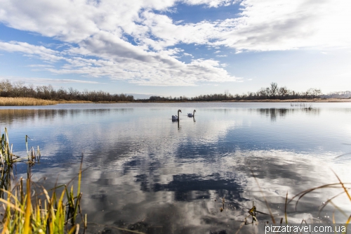 Swan Lake, Chortoriya