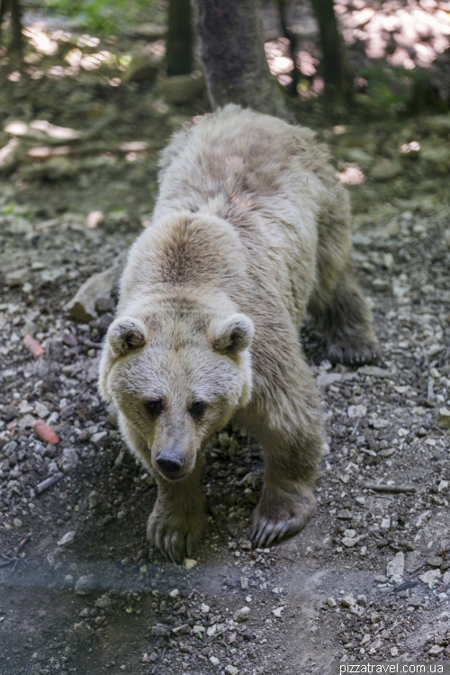 Worbis bear park