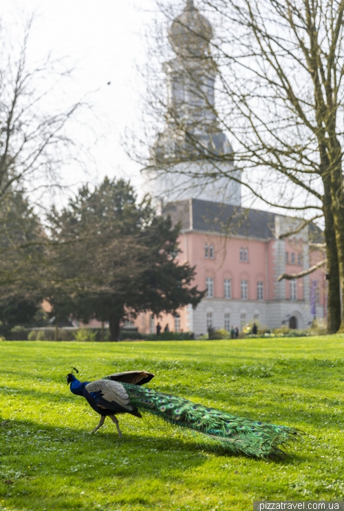 Jever Castle (Schlossmuseum Jever)