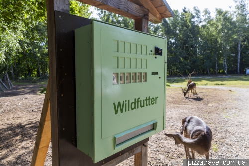 Парк дикої природи в Мюдені (Wildpark Mueden)