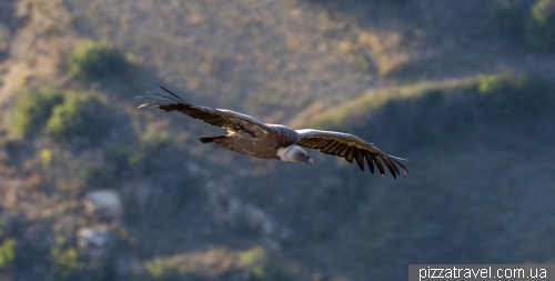 Vulture viewpoint (Mirador de los Buitres)