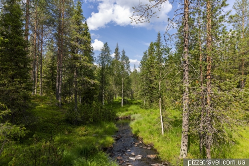 Олений парк Салла (Salla Reindeer Park)