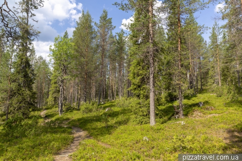 Олений парк Салла (Salla Reindeer Park)