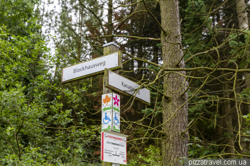 World Forest in the Harz Mountains (WeltWald)