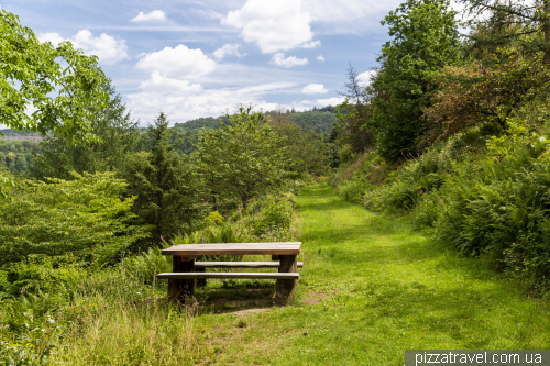 World Forest in the Harz Mountains (WeltWald)