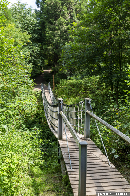 World Forest in the Harz Mountains (WeltWald)