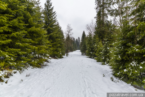 Oder Reservoir (Oderteich)