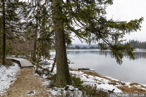 Oder Reservoir (Oderteich)