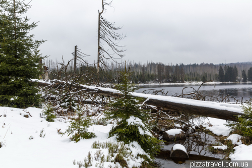 Oder Reservoir (Oderteich)