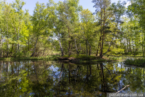 Вюрмзее в Бургведеле (Wuermsee)