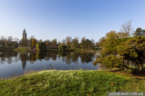 Autumn stroll in Magdeburg