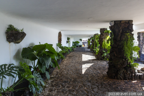 Cave of Jameos del Agua