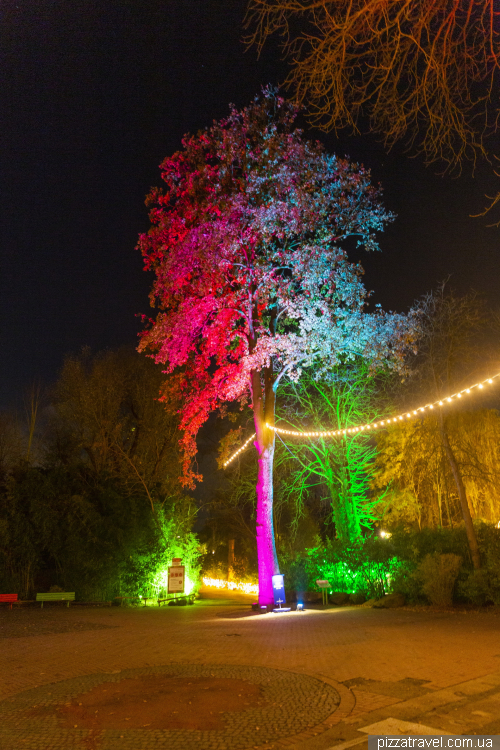 Рождественская подсветка в зоопарке Ганновера (Christmas Garden Hannover)