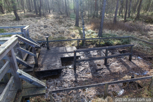 Bog trail in Resse (Moorerlebnispfad Resse)