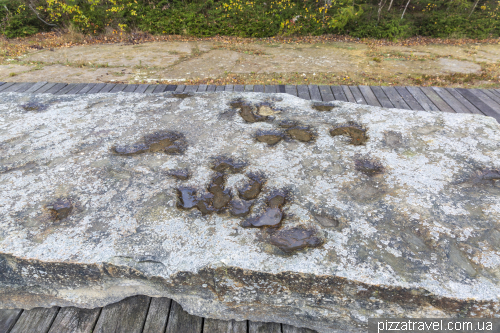 Dinosaur footprints in Obernkirchen (Dinosaurierfaehrten)