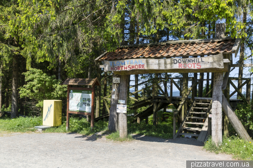 Mount Bocksberg in the Harz Mountains