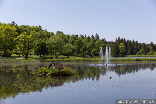 Mount Bocksberg in the Harz Mountains