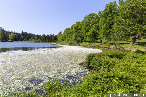 Mount Bocksberg in the Harz Mountains