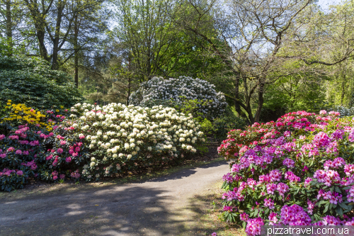 Gristede Rhododendron Park