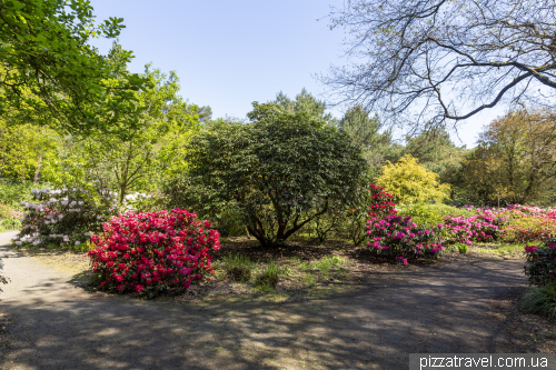 Gristede Rhododendron Park