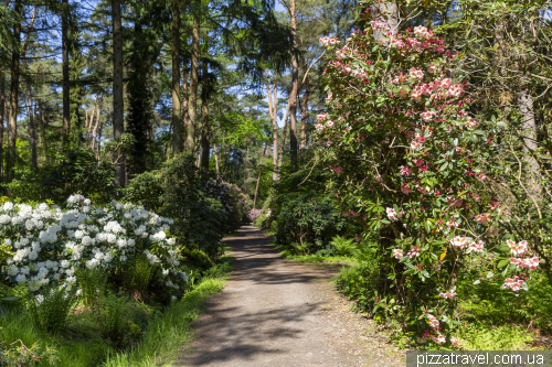 Gristede Rhododendron Park