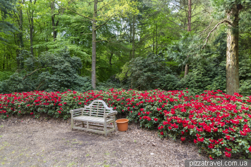 Hobbie Rhododendron Park