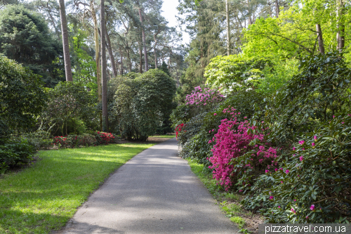 Hobbie Rhododendron Park