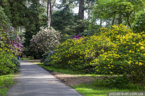 Hobbie Rhododendron Park