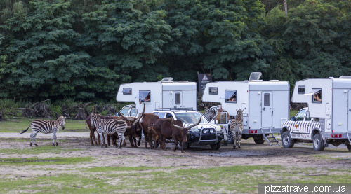 Overnight stay in the Serengeti Safari Park