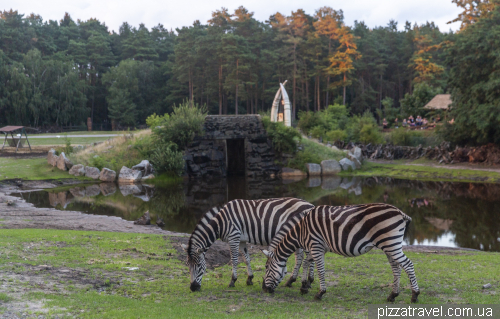 Overnight stay in the Serengeti Safari Park