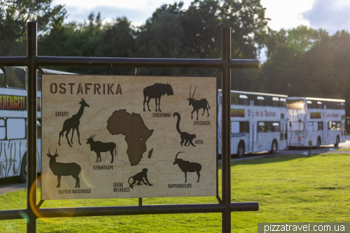 Overnight stay in the Serengeti Safari Park