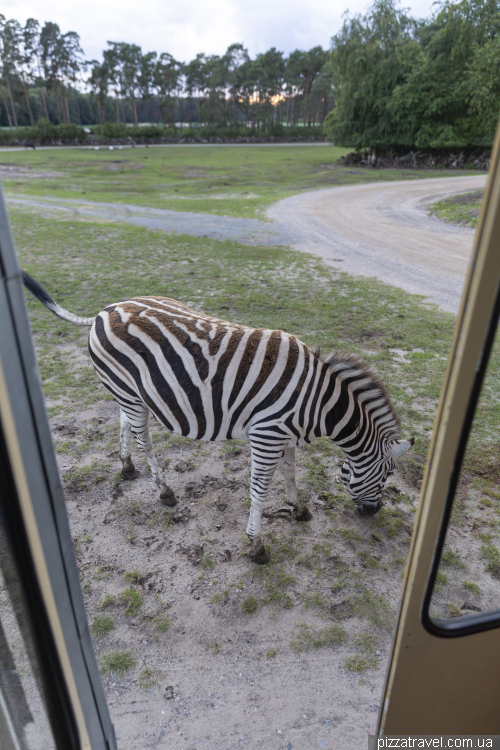 Overnight stay in the Serengeti Safari Park