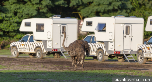 Overnight stay in the Serengeti Safari Park