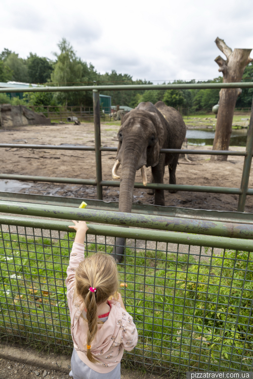 Serengeti Safari Park