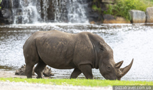 Serengeti Safari Park