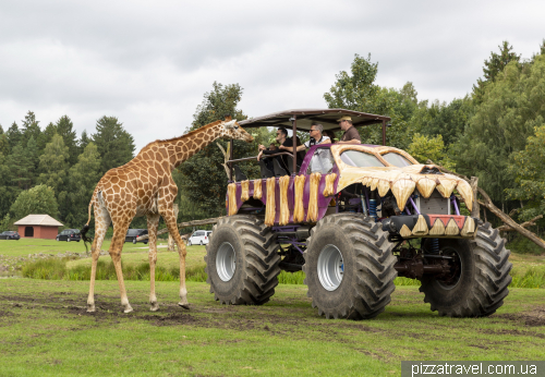 Serengeti Safari Park