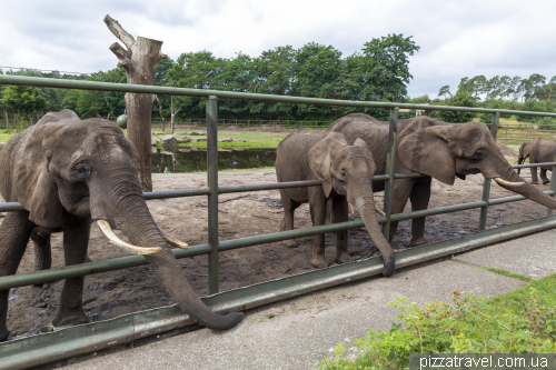 Serengeti Safari Park