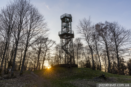 Lookout tower on Wilzenberg mountain (Wilzenbergturm)