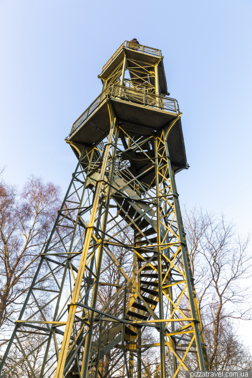 Lookout tower on Wilzenberg mountain (Wilzenbergturm)