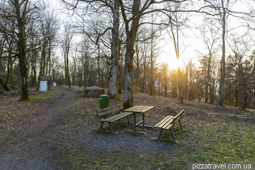 Lookout tower on Wilzenberg mountain (Wilzenbergturm)