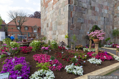 Rhododendron Festival in Westerstede