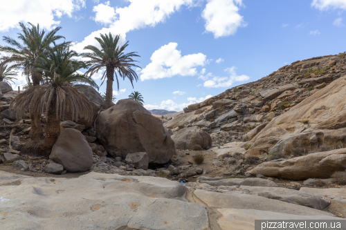 Canyon of the Peñitas (Barranco de las Peñitas) in Fuerteventura