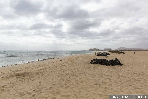 Playa del Pozo in Corralejo National Park